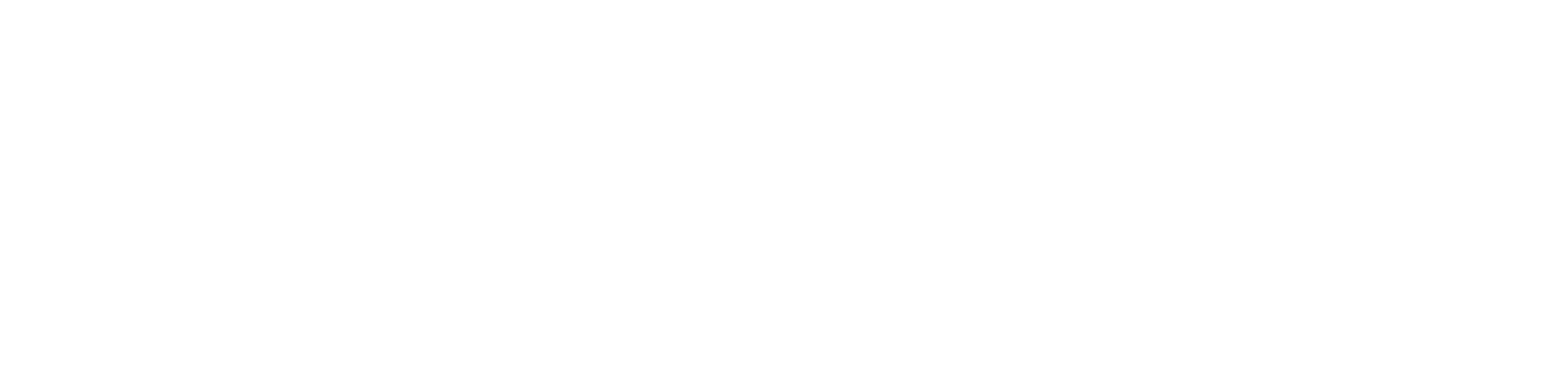 REISYS SELECT